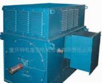 重慶電機(jī)廠電動(dòng)機(jī)維修內(nèi)容與服務(wù)體系詳析