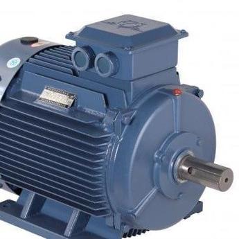 YE3 100L 三相異步電動(dòng)機(jī)技術(shù)詳解與應(yīng)用指南